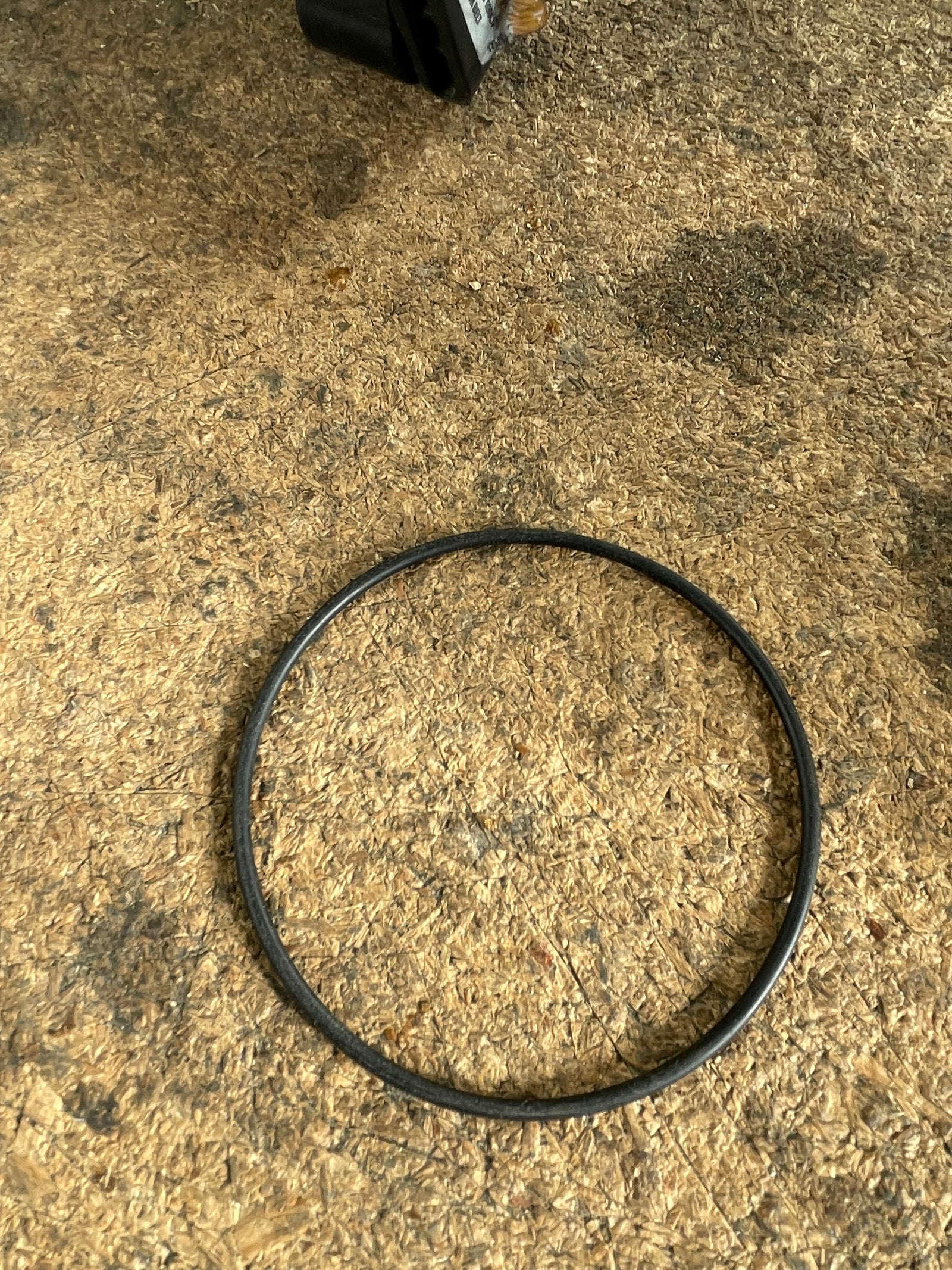 Lower body o'ring