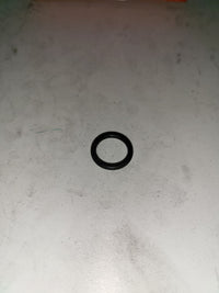 #145265 O'Ring
